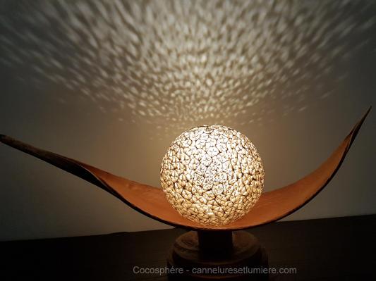 Cocosphere 2 001